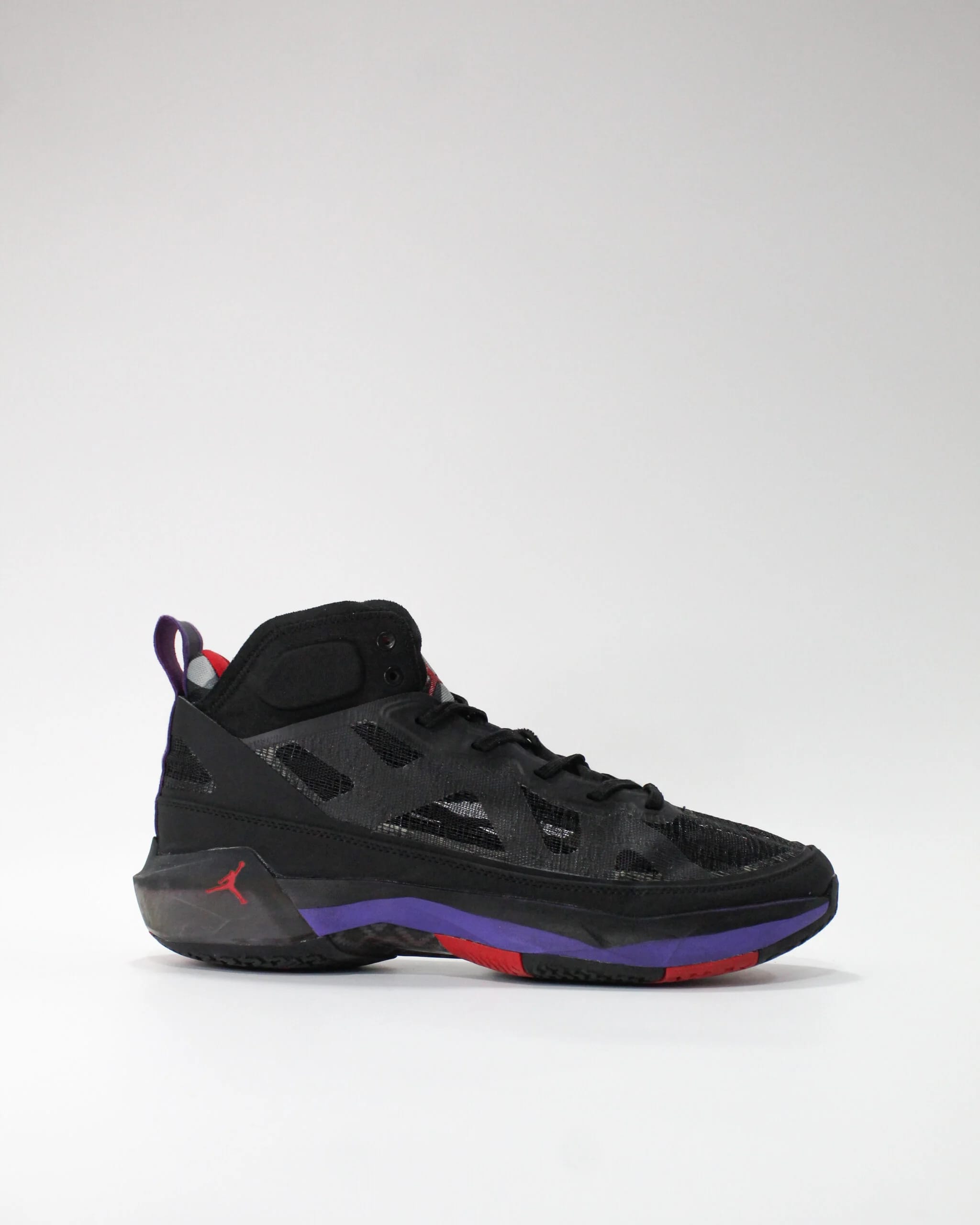 Jordan 37 Raptors