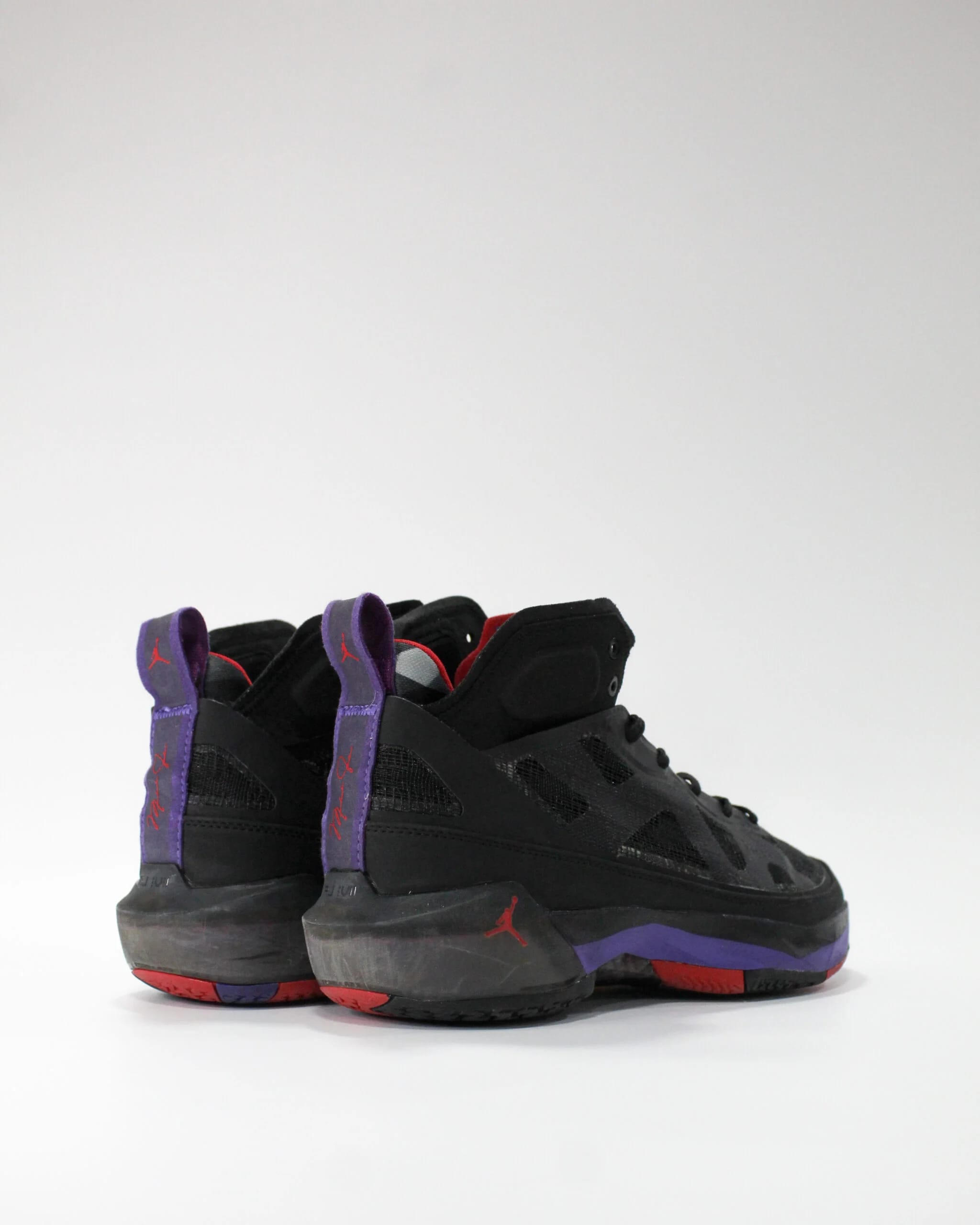 Jordan 37 Raptors
