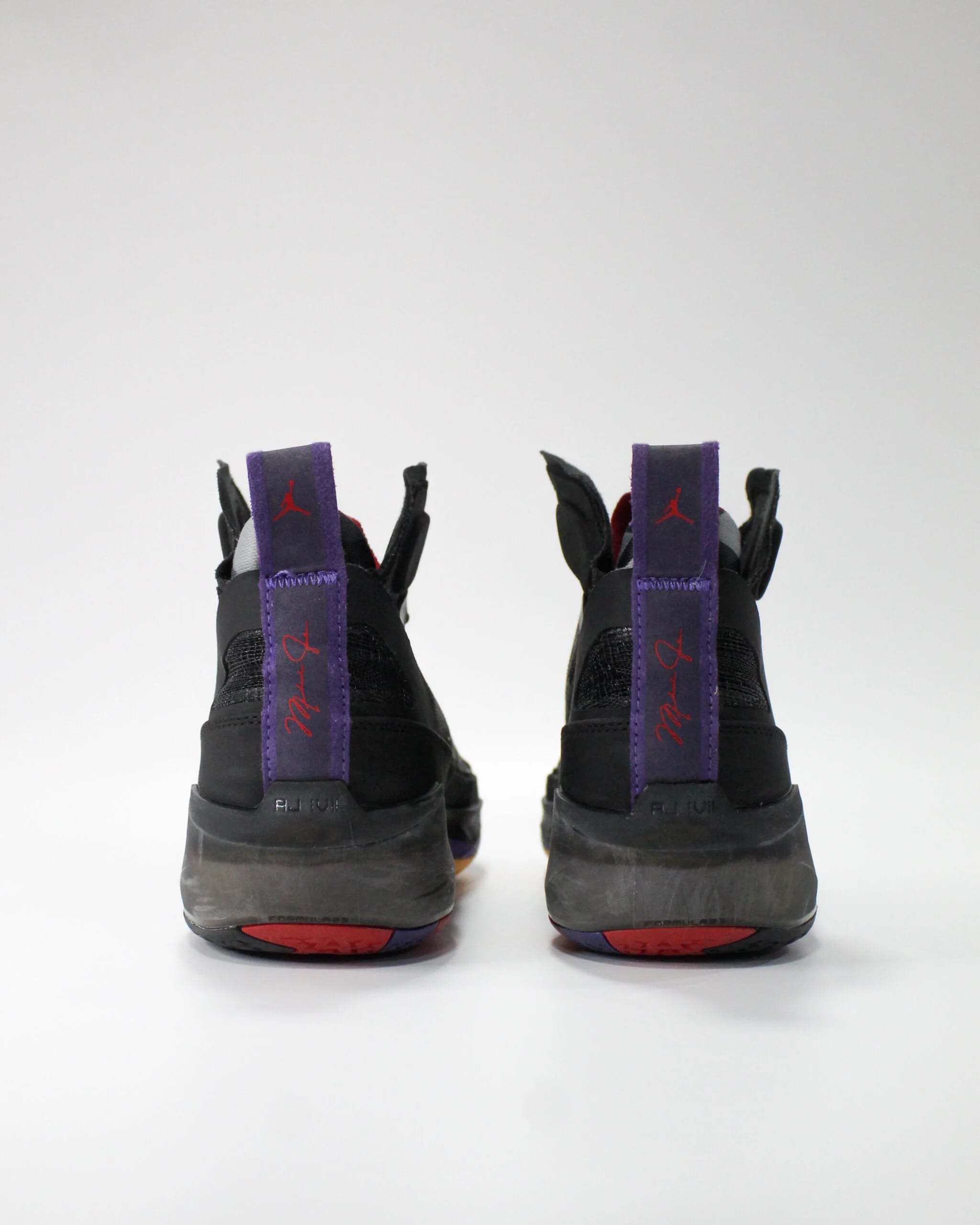 Jordan 37 Raptors