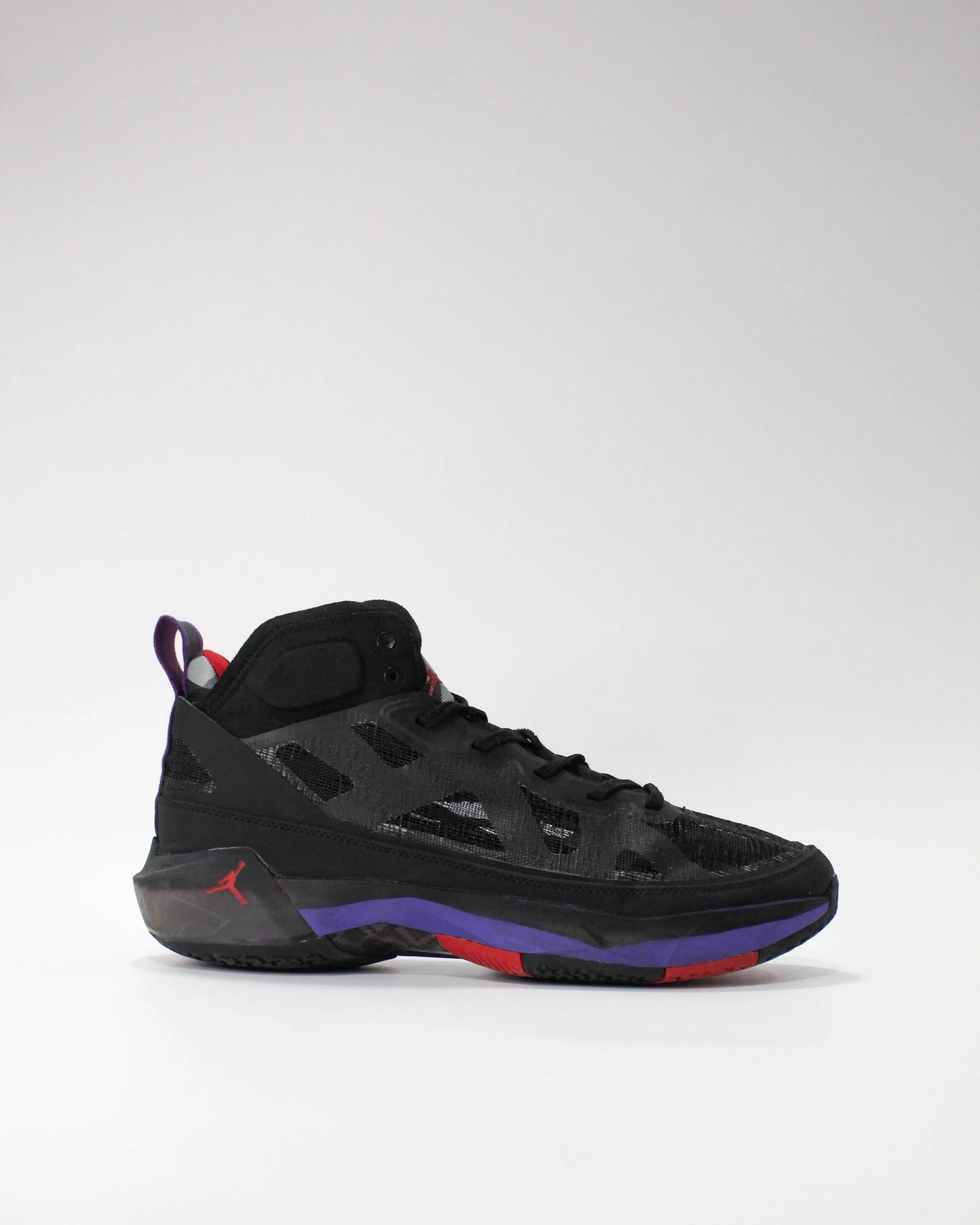 Jordan 37 Raptors