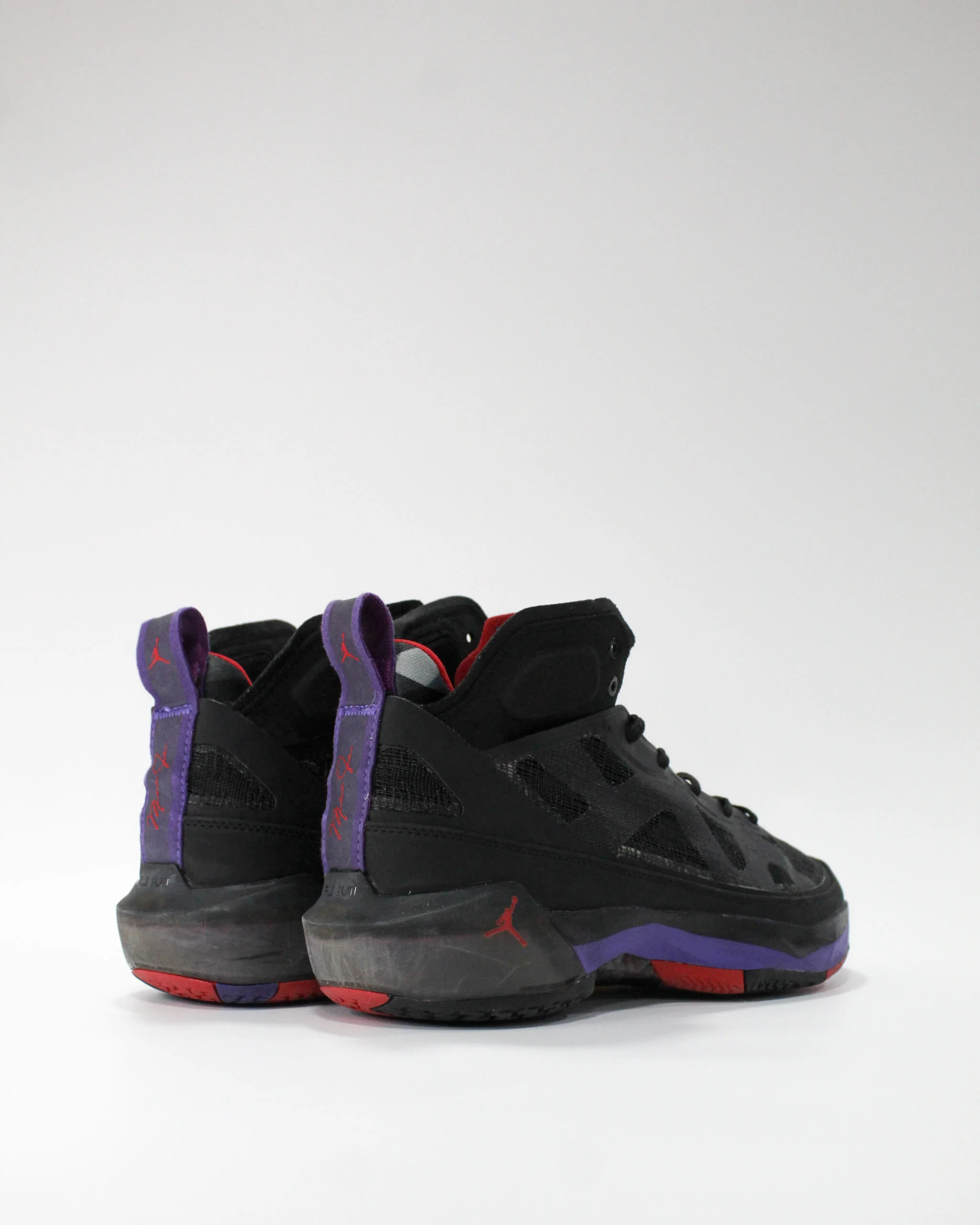 Jordan 37 Raptors