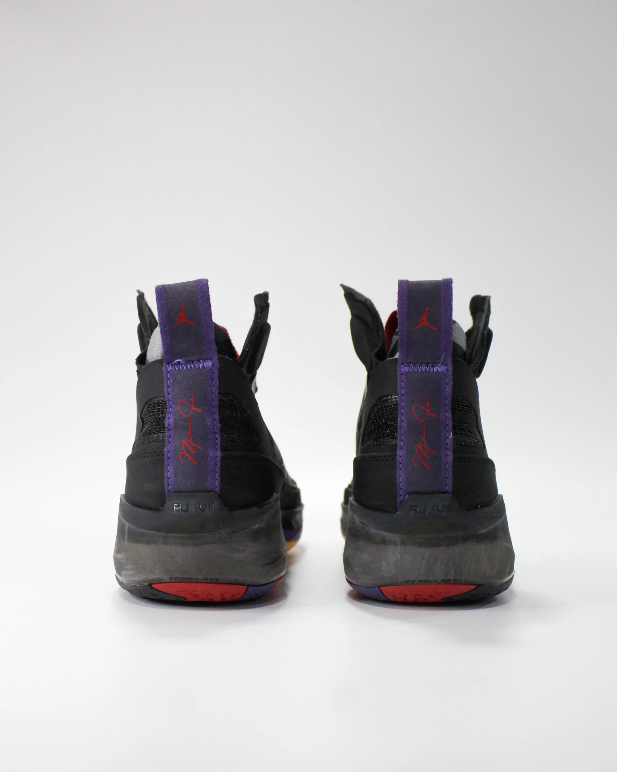 Jordan 37 Raptors